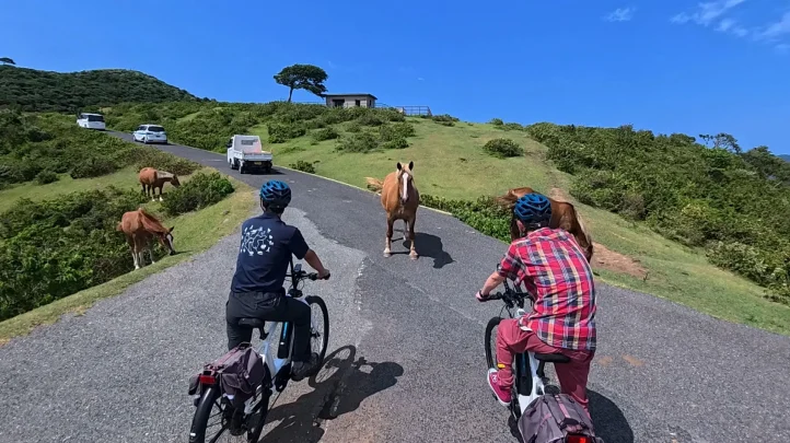 西ノ島　サイクリング