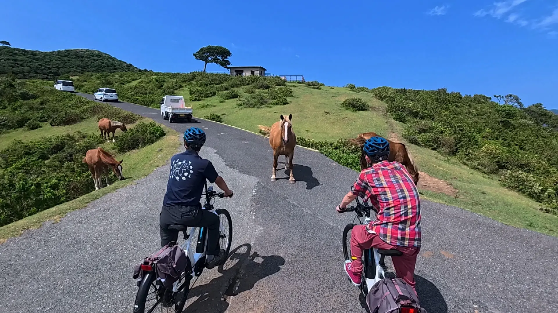 西ノ島　サイクリング