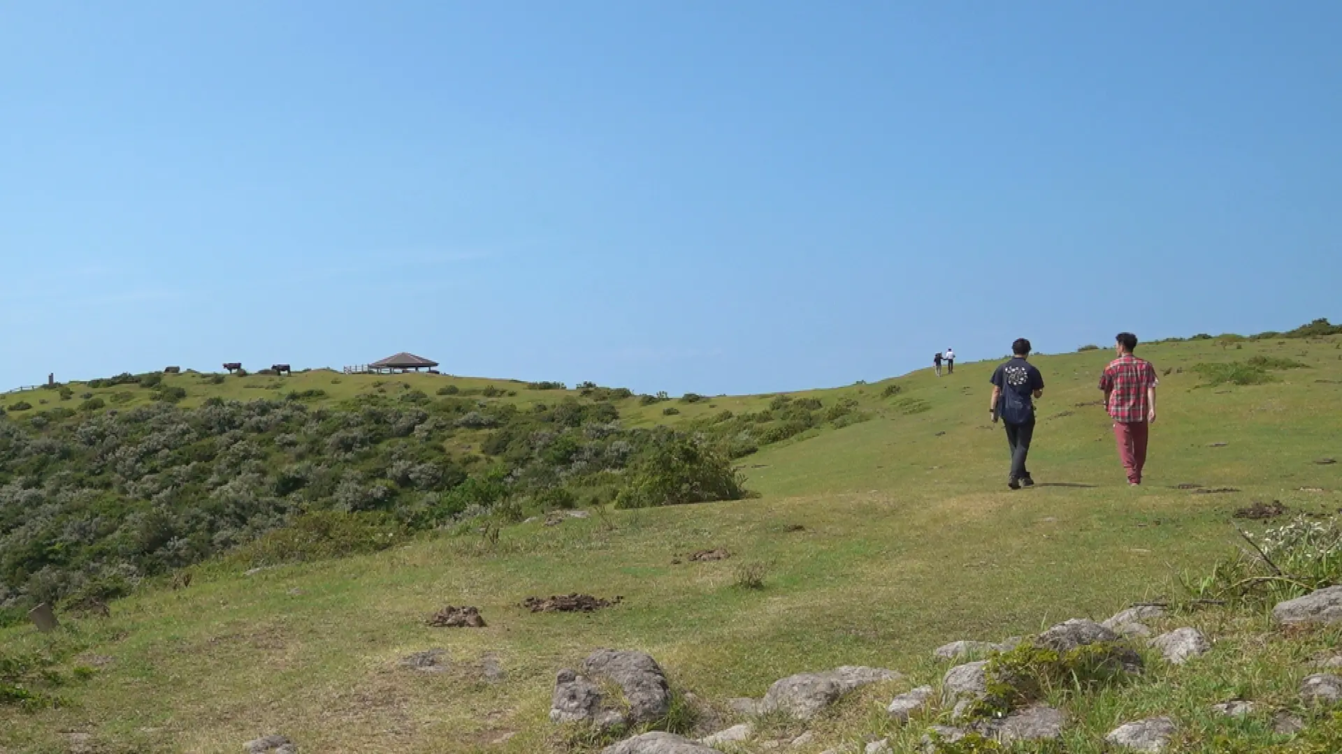 西ノ島　ロバート馬場
