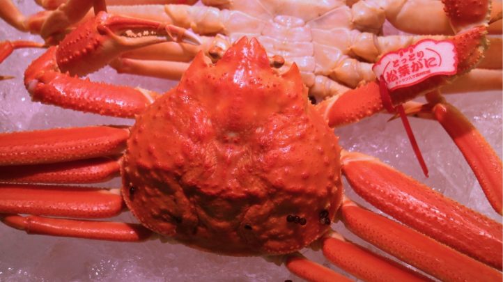 松葉ガニ