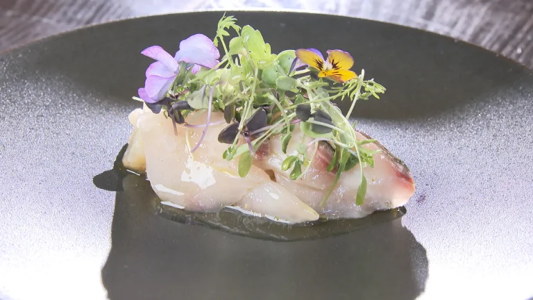 FARO サワラのカルパッチョ