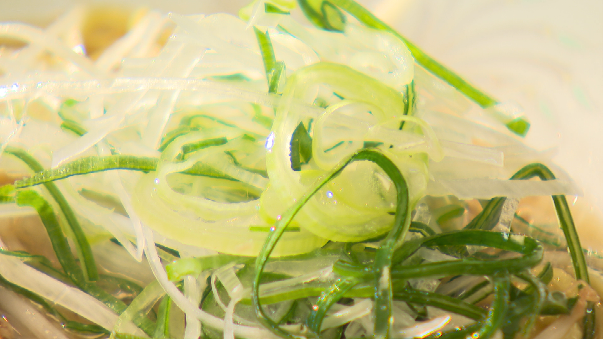 中華そば塩のネギ