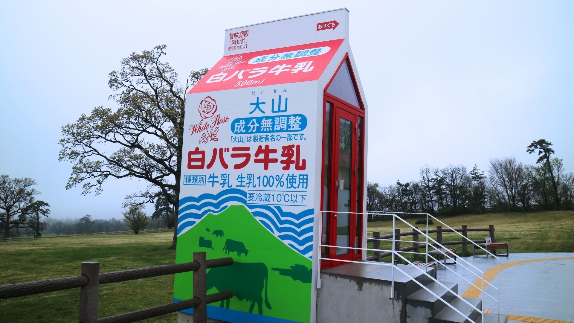 白バラ牛乳のオブジェ