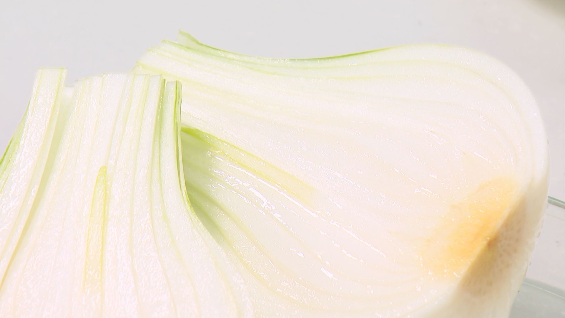 新タマネギ断面