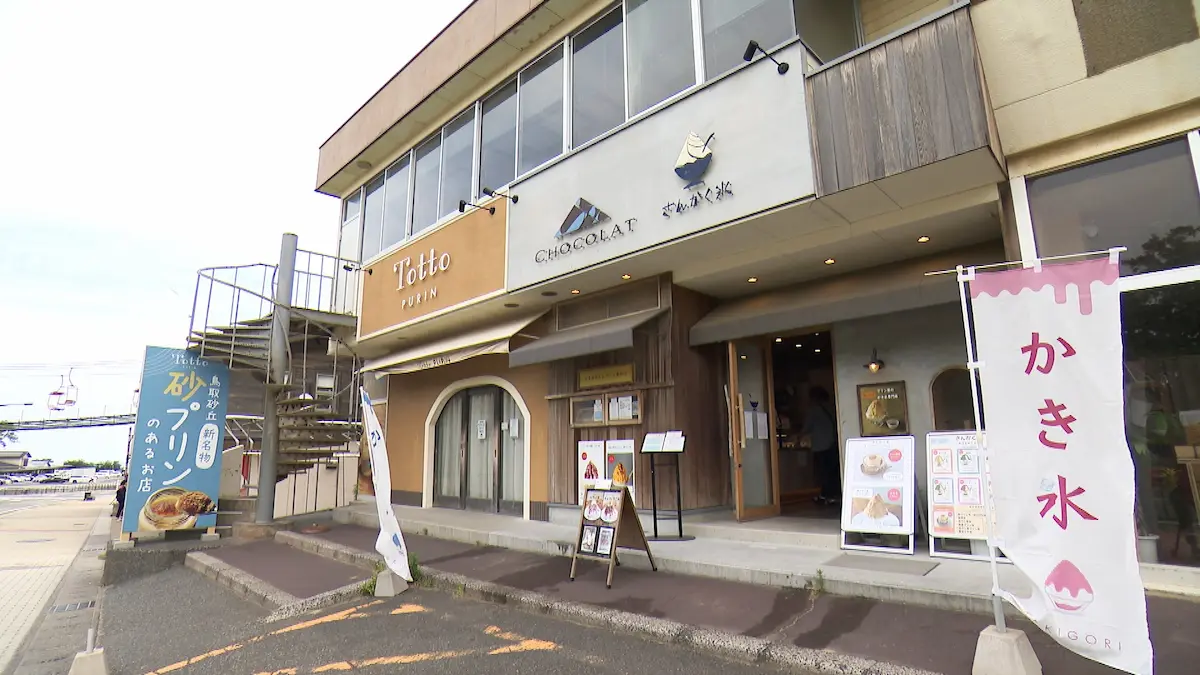 さんかく氷の外観