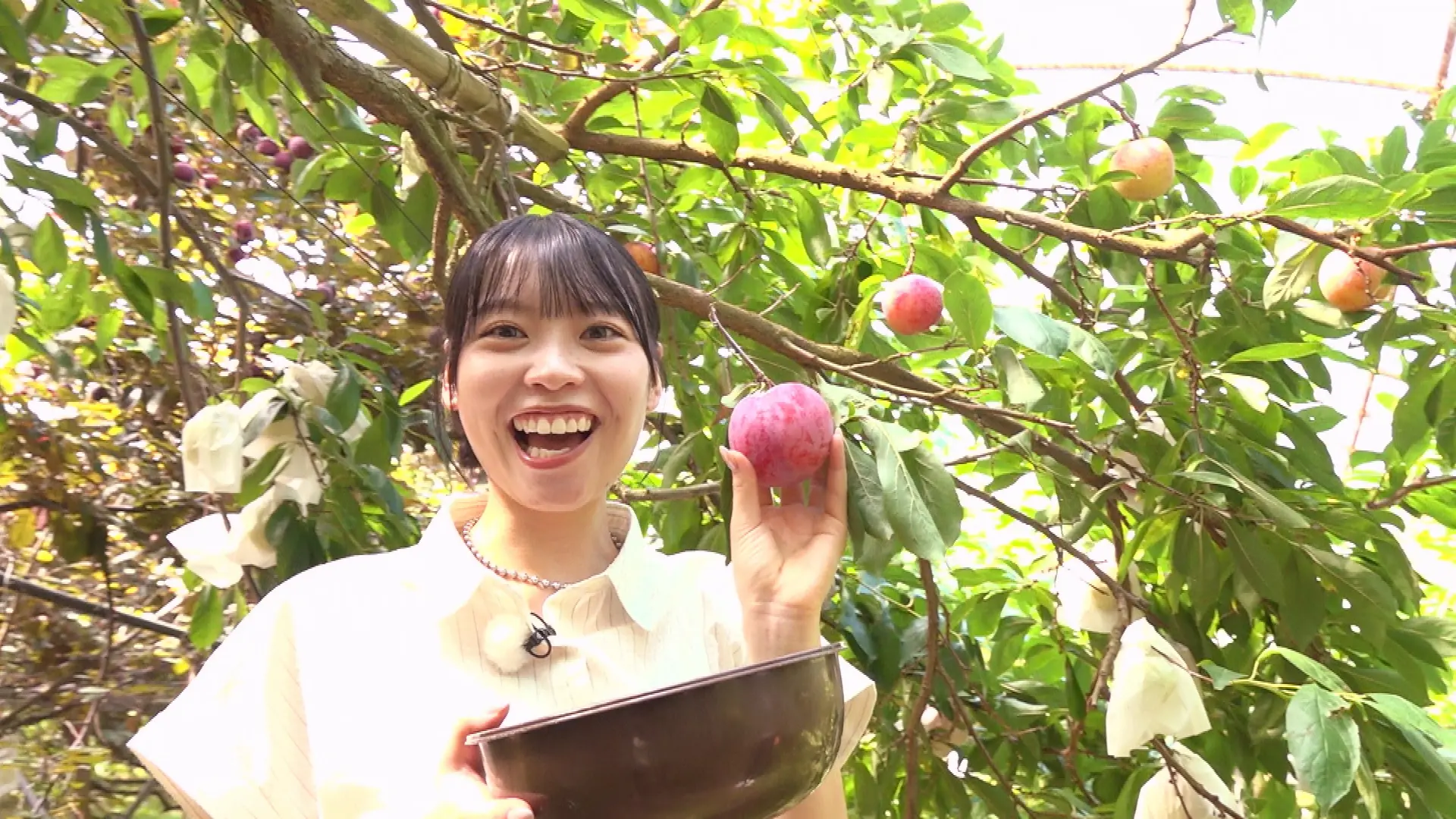 平田観光農園