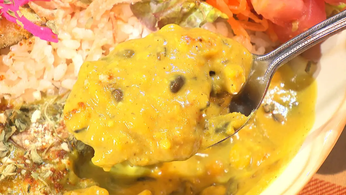 スパイス探検隊のあいがけカレーの一種、豆と長芋のスパイスカレー